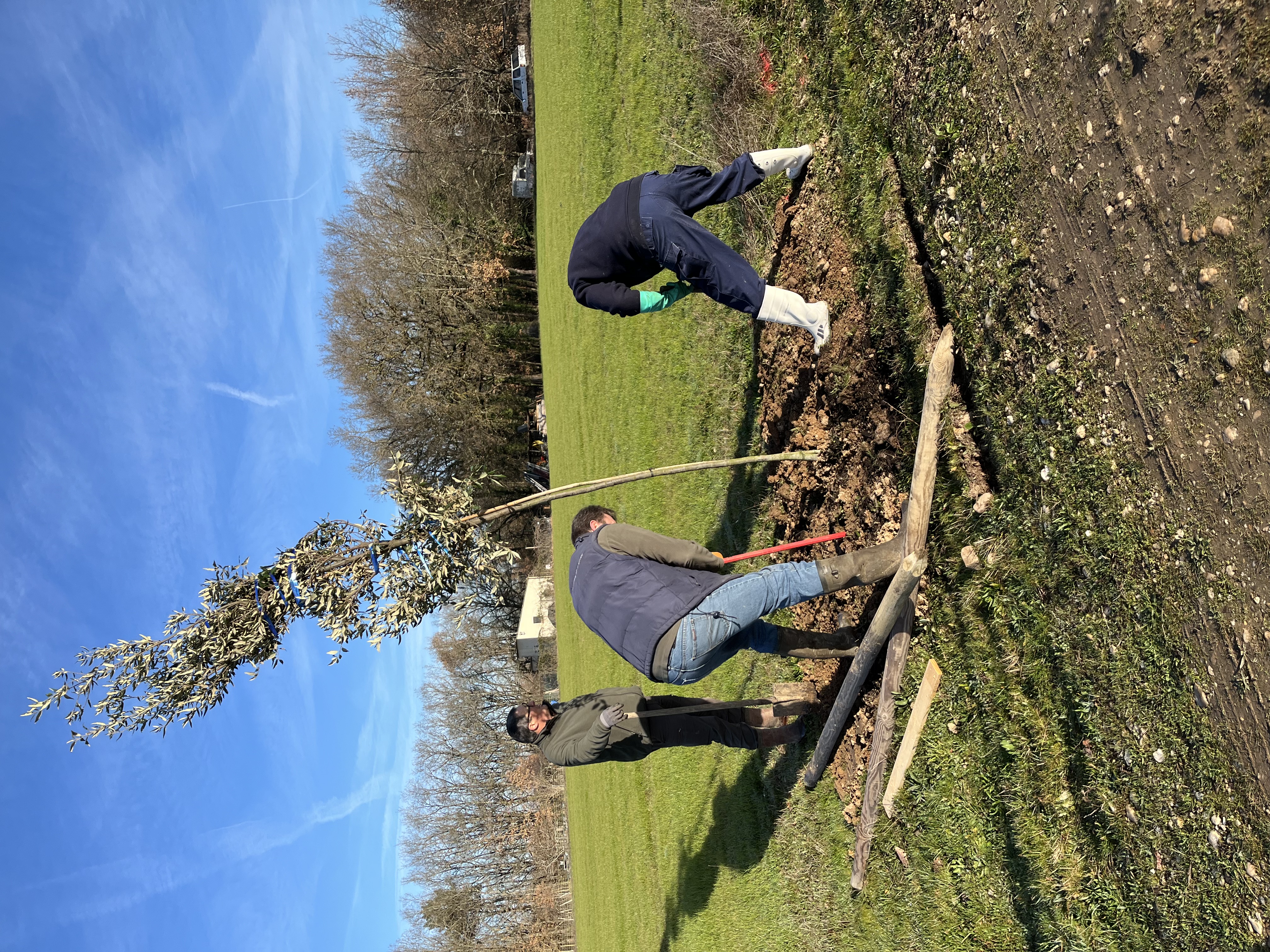 Plantations nouvelles sur la commune